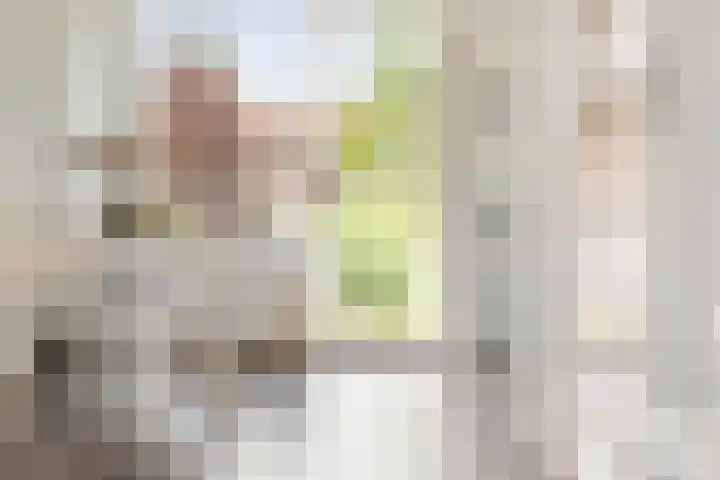 Zaagmuldersweg 84 a Groningen thumbnail 10