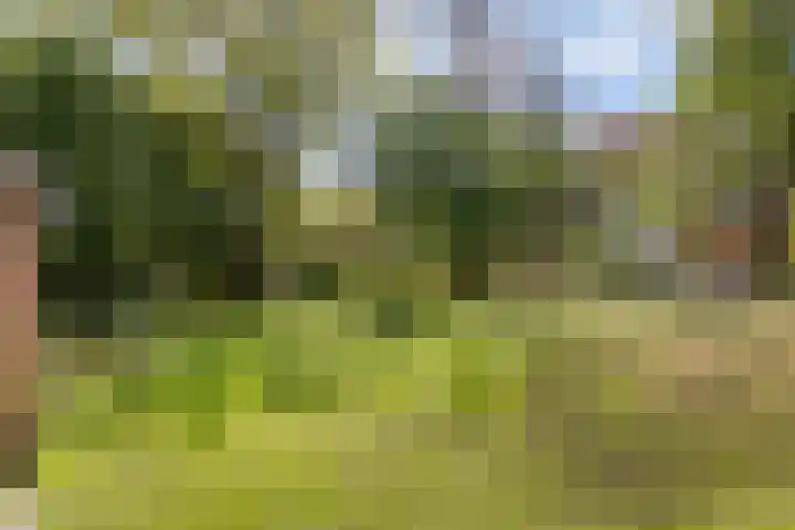 Zaagmuldersweg 84 a Groningen thumbnail 27