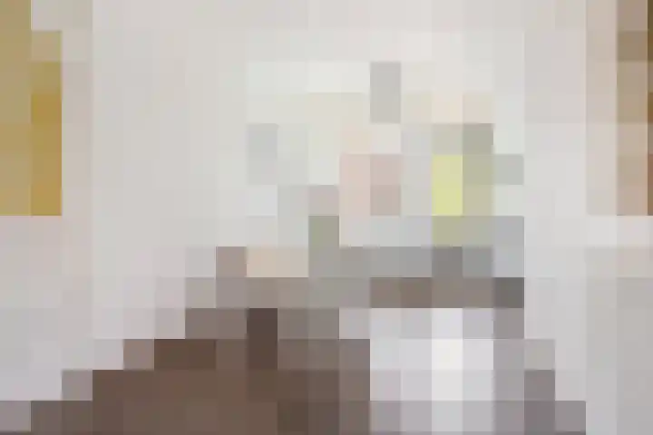 Zaagmuldersweg 84 a Groningen thumbnail 9