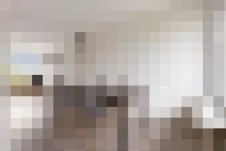 Zaagmuldersweg 84 b Groningen thumbnail 18