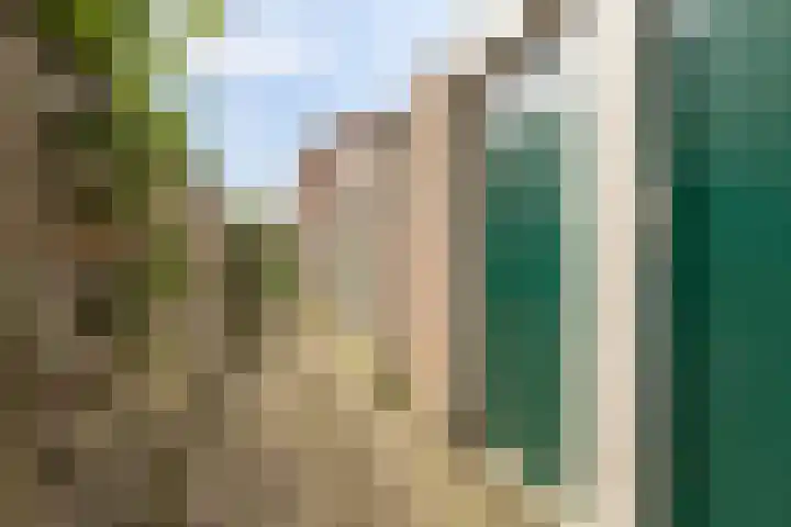 Zaagmuldersweg 84 b Groningen thumbnail 31