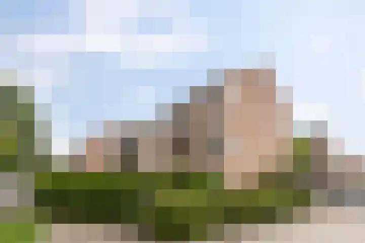 Zaagmuldersweg 84 b Groningen thumbnail 32