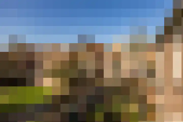 Zaagmuldersweg 96 b Groningen thumbnail 26