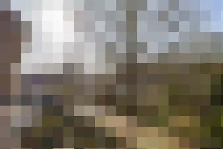 Zaagmuldersweg 96 b Groningen thumbnail 27