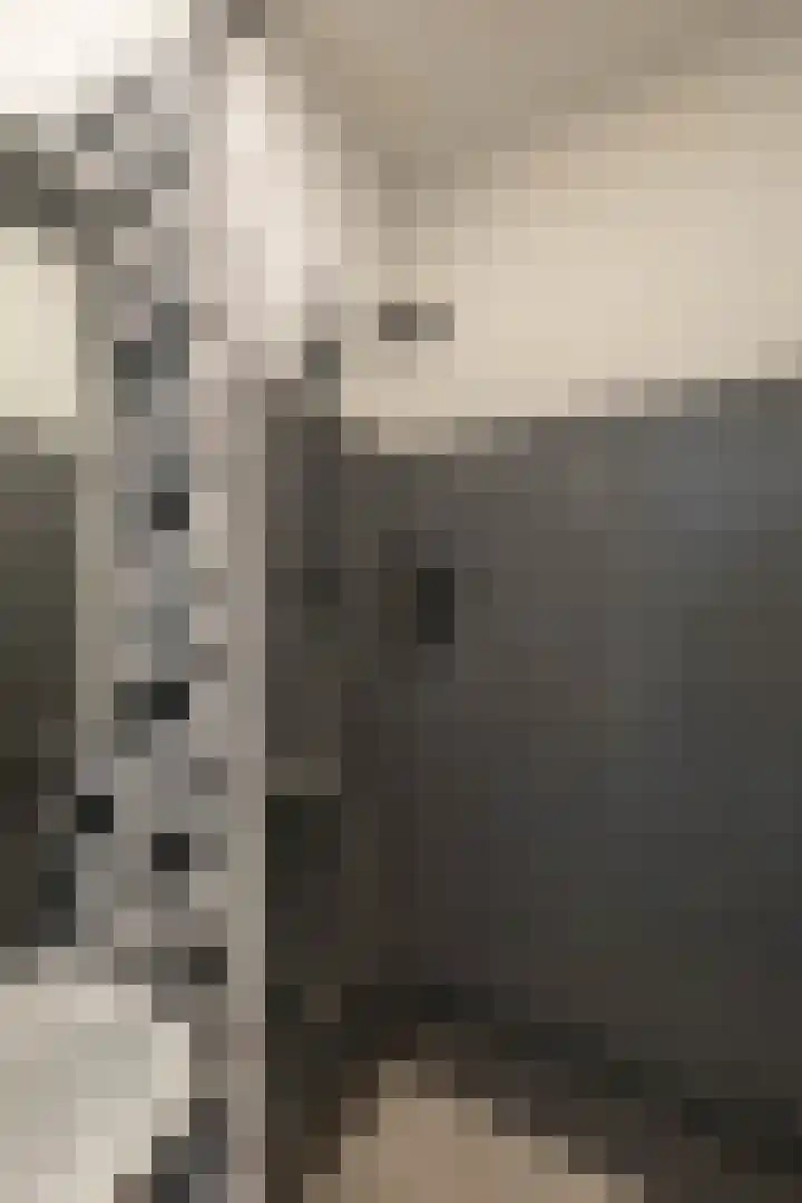 Zaagmuldersweg 96 b Groningen thumbnail 36