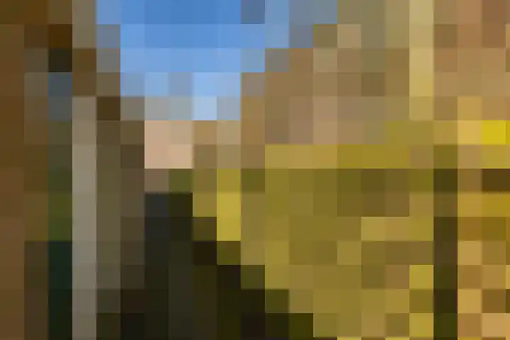 Zaagmuldersweg 96 b Groningen thumbnail 42