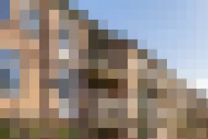 Zaagmuldersweg 96 b Groningen thumbnail 43