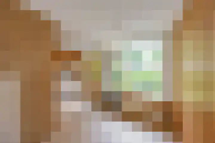 Zaagmuldersweg 98 Groningen thumbnail 18