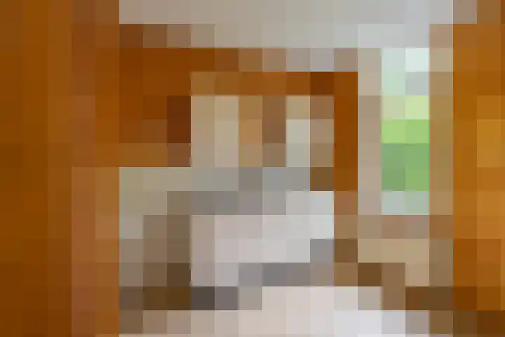 Zaagmuldersweg 98 Groningen thumbnail 20