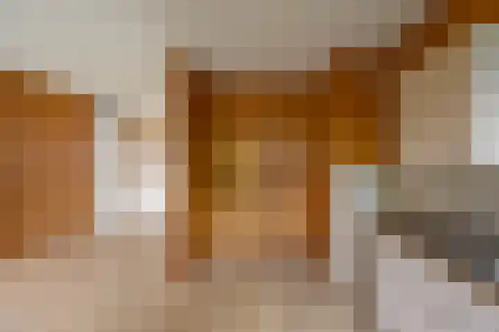 Zaagmuldersweg 98 Groningen thumbnail 22