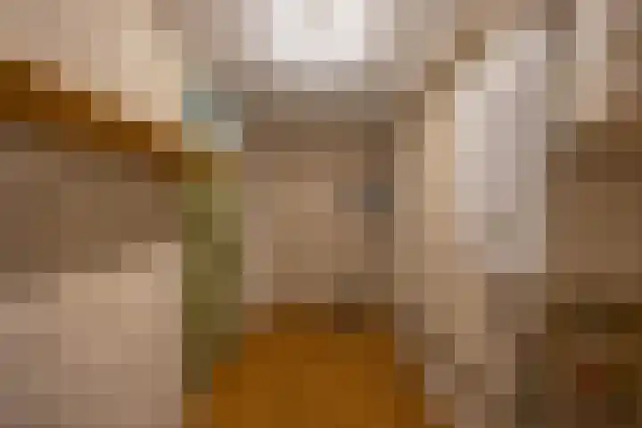 Zaagmuldersweg 98 Groningen thumbnail 33