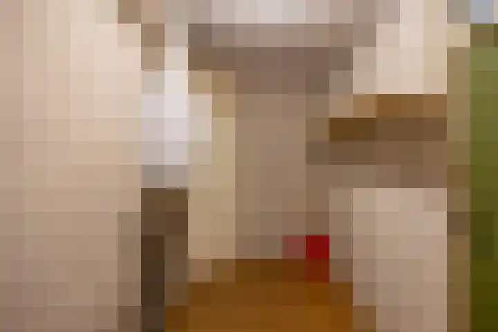 Zaagmuldersweg 98 Groningen thumbnail 34