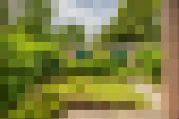 Zaagmuldersweg 98 Groningen thumbnail 35
