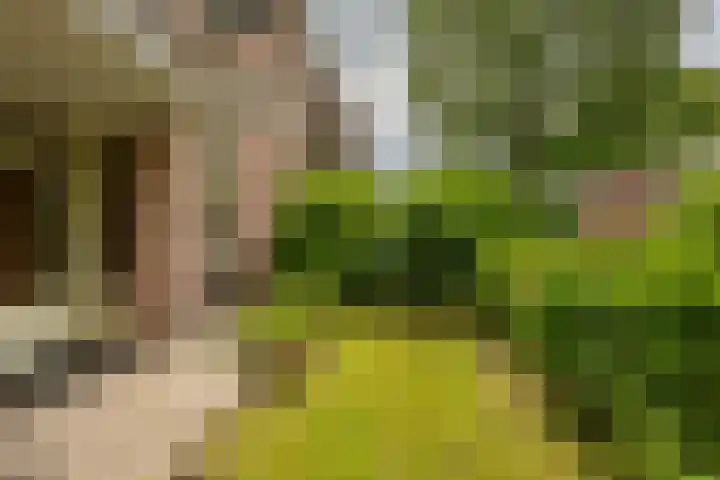 Zaagmuldersweg 98 Groningen thumbnail 36