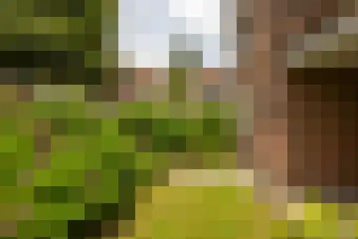 Zaagmuldersweg 98 Groningen thumbnail 37