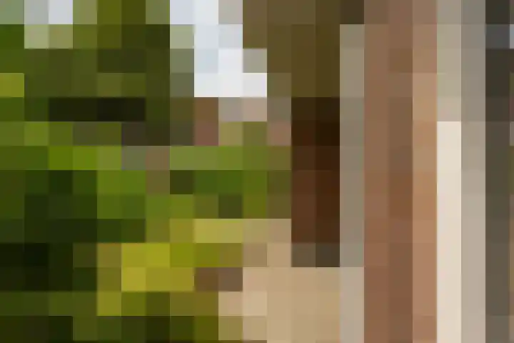 Zaagmuldersweg 98 Groningen thumbnail 38