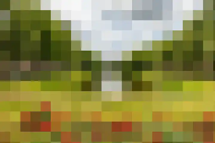 Zaagmuldersweg 98 Groningen thumbnail 39