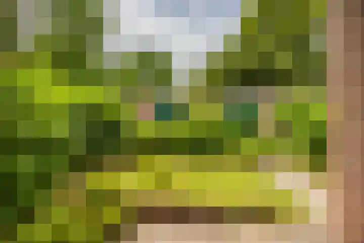 Zaagmuldersweg 98 Groningen thumbnail 5
