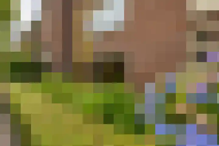 Zaagmuldersweg 98 Groningen thumbnail 7