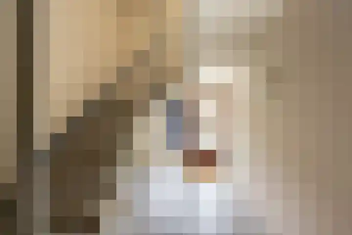 Zaagmuldersweg 98 Groningen thumbnail 9
