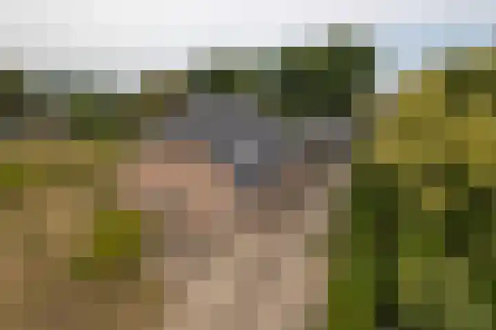 Zaagpad 3 Silvolde