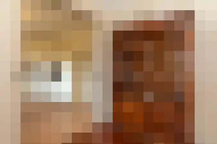 Zaagpad 3 Silvolde thumbnail 18