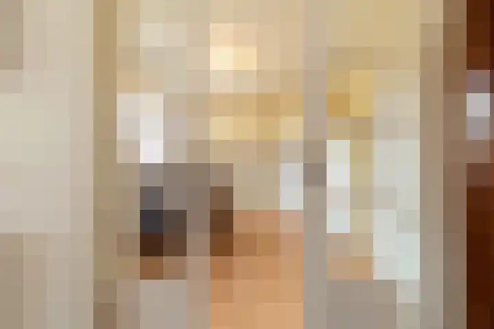 Zaagpad 3 Silvolde thumbnail 19
