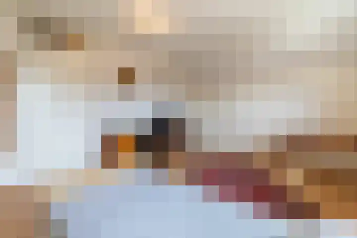 Zaagpad 3 Silvolde thumbnail 26