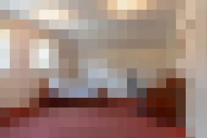 Zaagpad 3 Silvolde thumbnail 29