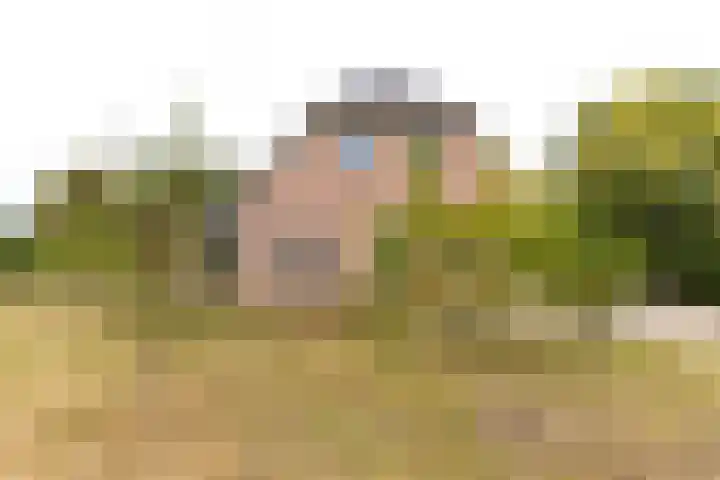 Zaagpad 3 Silvolde foto 3