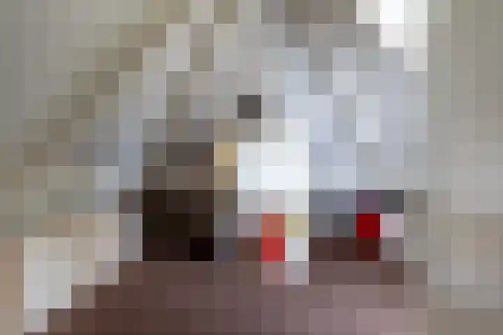 Zaagpad 3 Silvolde thumbnail 32
