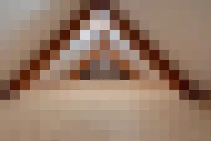 Zaagpad 3 Silvolde thumbnail 35