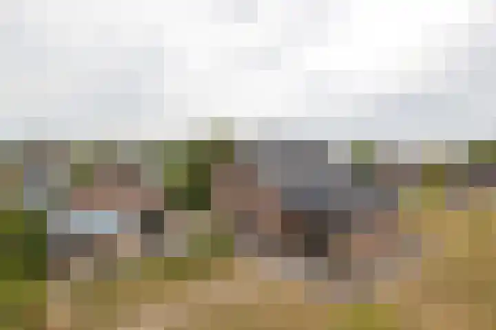 Zaagpad 3 Silvolde thumbnail 37