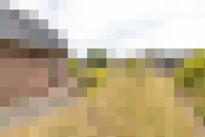 Zaagpad 3 Silvolde thumbnail 38