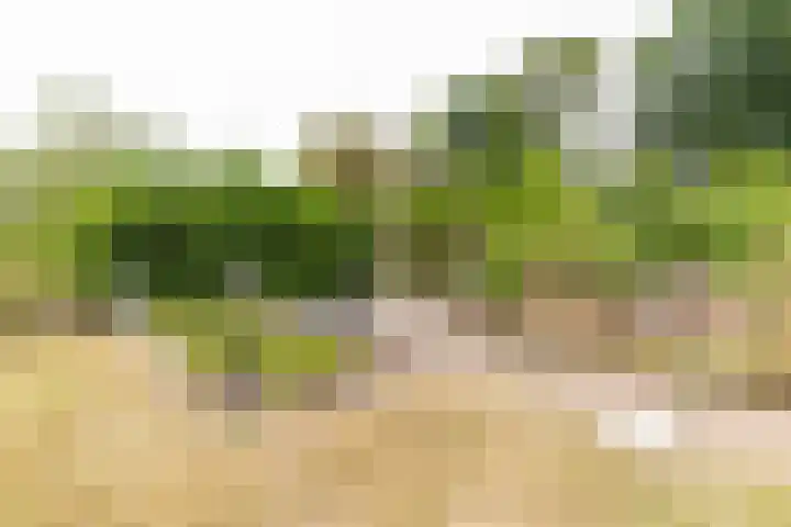 Zaagpad 3 Silvolde thumbnail 39