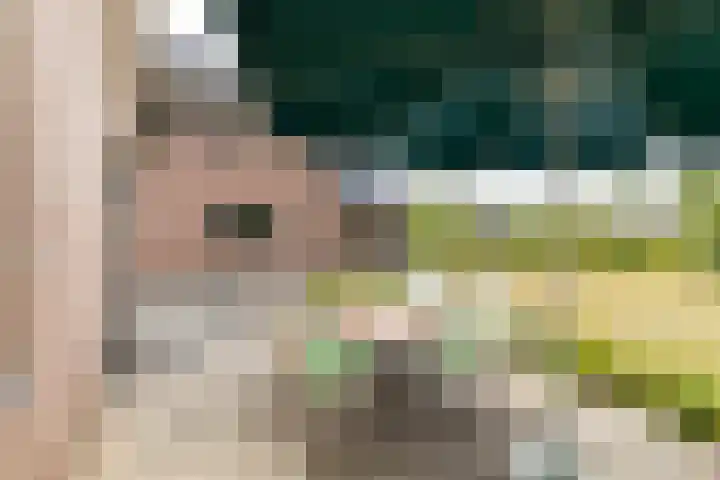 Zaagpad 3 Silvolde thumbnail 40