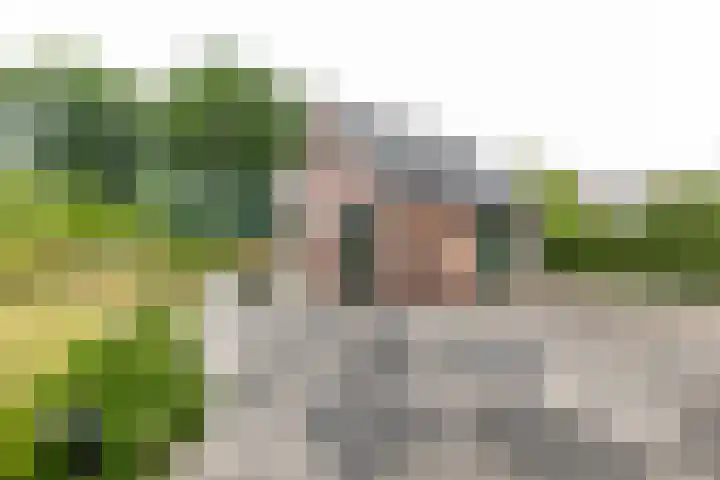 Zaagpad 3 Silvolde thumbnail 41