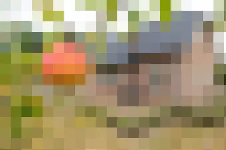 Zaagpad 3 Silvolde thumbnail 5