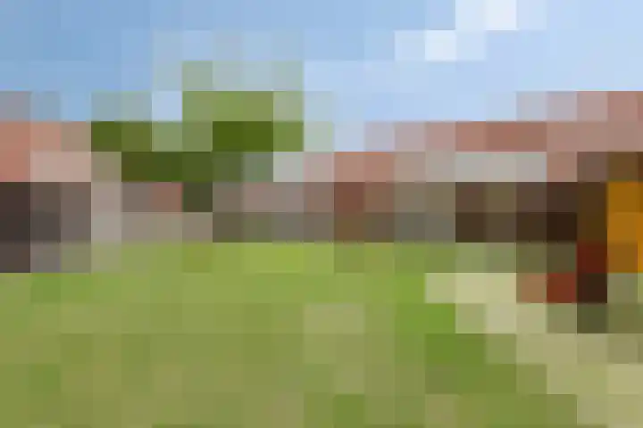 Zaagvisplantsoen 40 Almere thumbnail 30