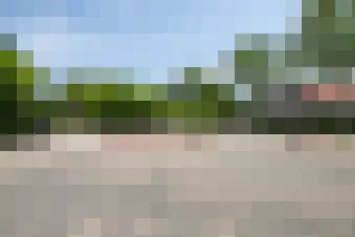Zaagvisplantsoen 40 Almere thumbnail 33