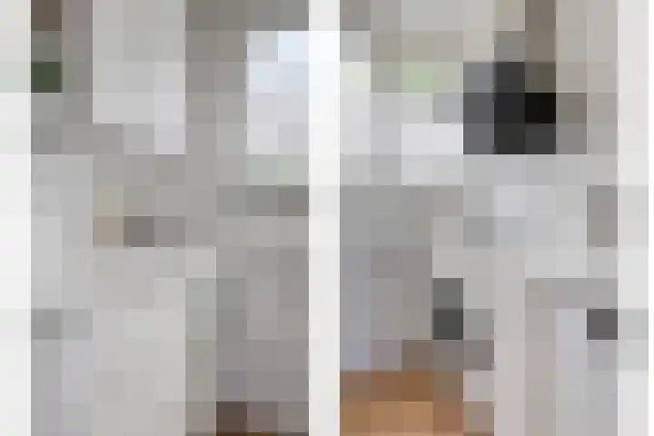 Zaagvisplantsoen 40 Almere thumbnail 8