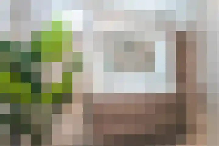 Zaagvisplantsoen 43 Almere thumbnail 40