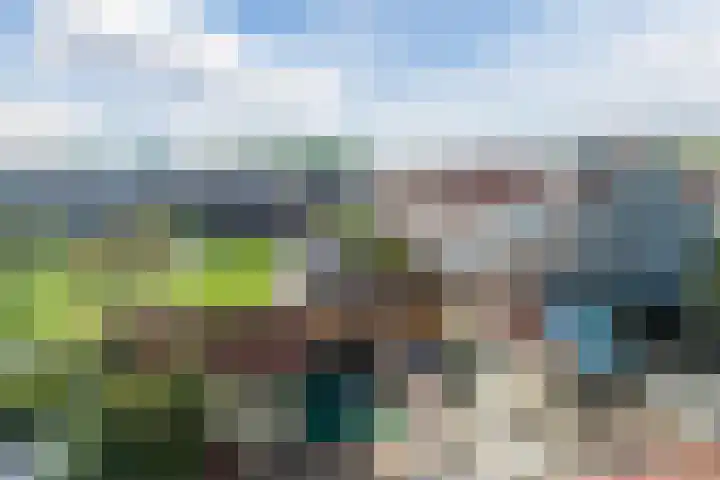 Zaagvisplantsoen 43 Almere thumbnail 51