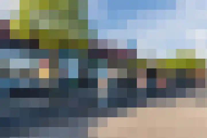 Zaagvisplantsoen 43 Almere thumbnail 58