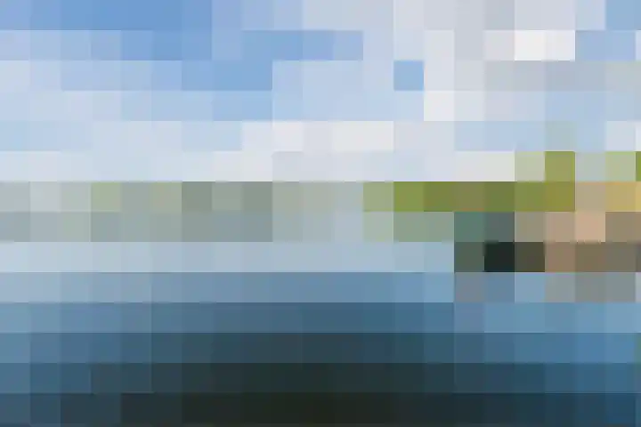 Zaagvisplantsoen 43 Almere thumbnail 59