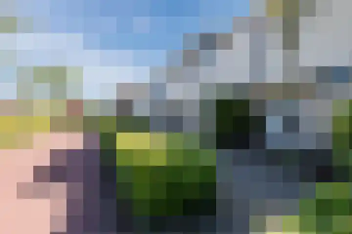 Zaagvisplantsoen 43 Almere thumbnail 6