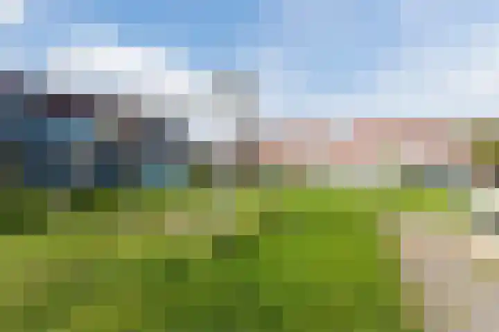 Zaagvisplantsoen 43 Almere thumbnail 60