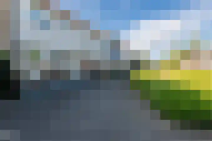 Zaagvisplantsoen 43 Almere thumbnail 7