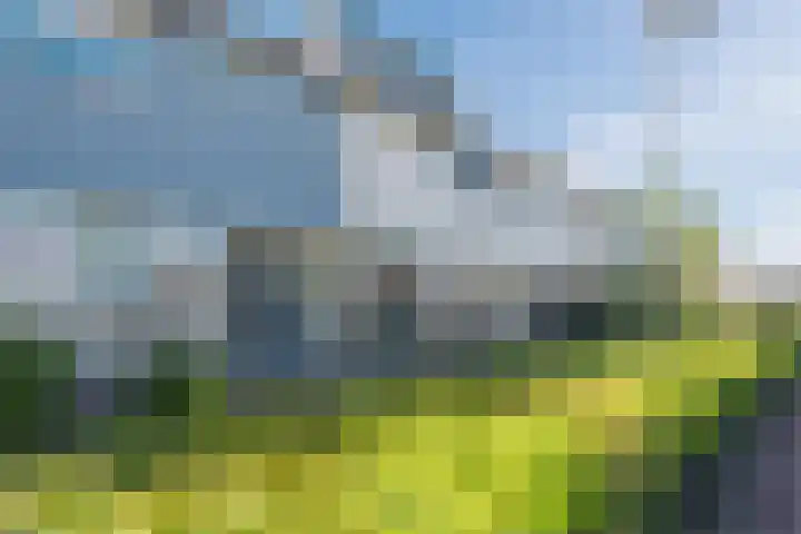 Zaagvisplantsoen 43 Almere thumbnail 8