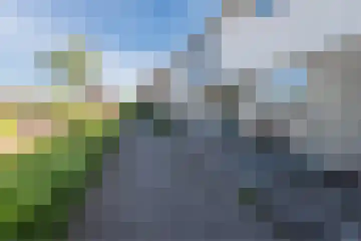 Zaagvisplantsoen 43 Almere thumbnail 9